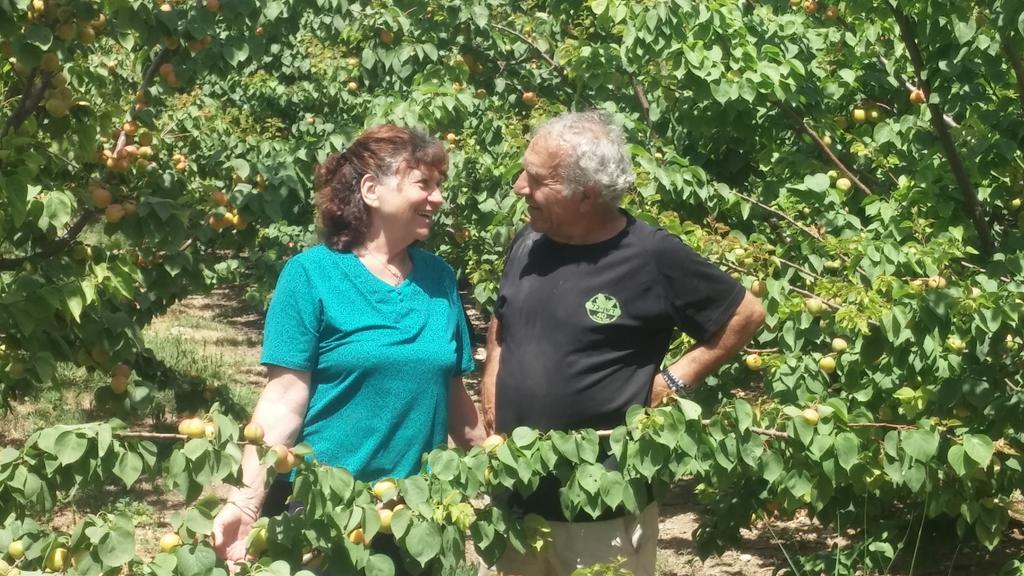 Nuriel Fruit & Guest House Sheʼar Yashuv Exterior foto